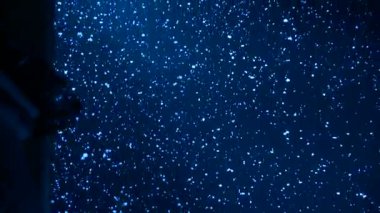 Красивые снежинки падают в синий ночное небо, падает снег. Этап в драматический спектакль, последовательность — стоковое видео