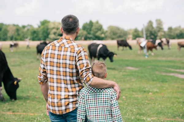 Back View Father Son Standing Together Looking Cows Grazing Farm — стоковое фото