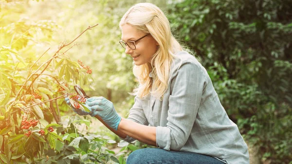 Smiling Female Scientist Latex Gloves Looking Rowans Magnifying Glass Forest — стоковое фото