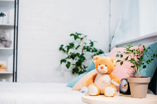 Teddy Bear Plant Alarm Clock Front Bed — стоковое фото