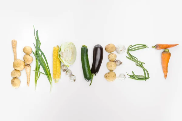 Top View Autumn Vegetables Arranged Harvest Lettering Isolated White — стоковое фото