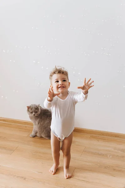 Улыбающийся Малыш Мальчик Белое Боди Ловли Мыльные Пузыри Серым Кошка — стоковое фото