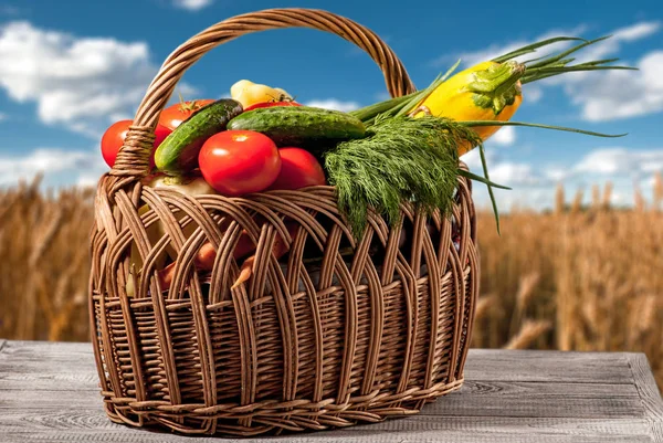 Basket Vegetables Tomato Pepper Eggplant Courgettes Greens Background Wheat Field — стоковое фото