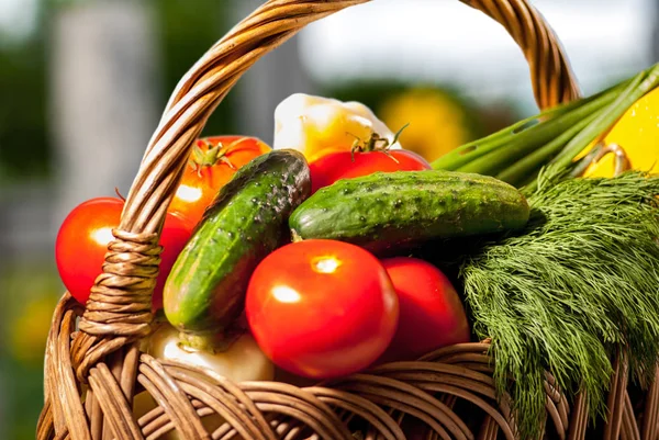 Basket Vegetables Tomato Pepper Eggplant Courgettes Greens — стоковое фото