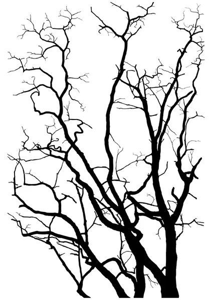 Силуэт ветвей дерева — стоковый вектор