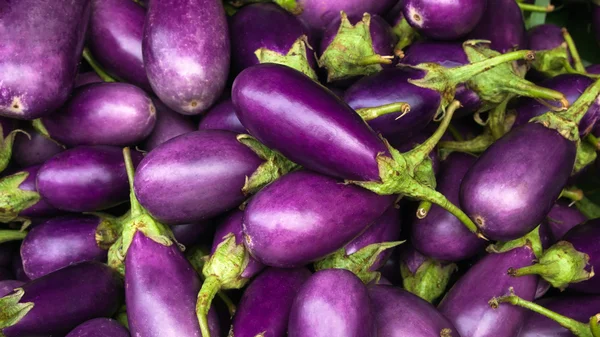 Фиолетовый баклажан — стоковое фото