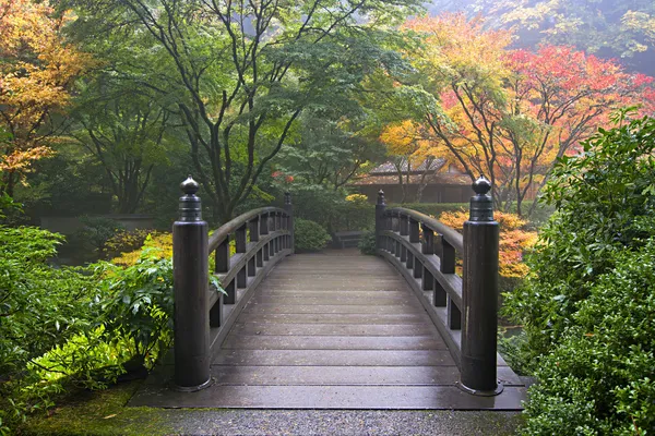 Деревянный мост на японский сад осенью — стоковое фото