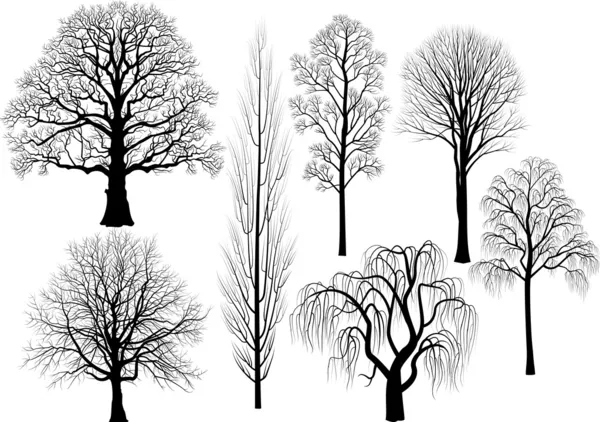 Коллекция деревьев — стоковый вектор