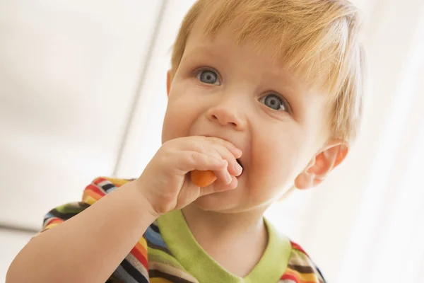 Молодой мальчик ест морковь в помещении — стоковое фото