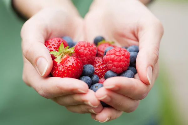 Руки, держа ягоды свежие — стоковое фото