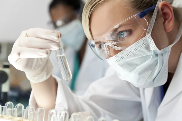 Женское научное исследование подходит к ясному решению в laborator — стоковое фото