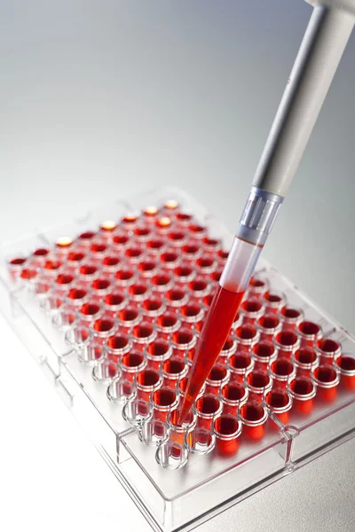 Крови образца научные исследования с пипеткой и ячейки пластины — стоковое фото