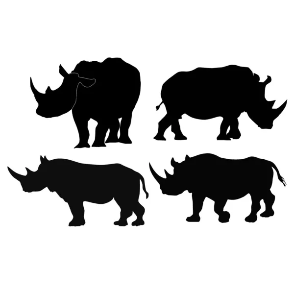 Коллекция векторных изображений носорога — стоковый вектор
