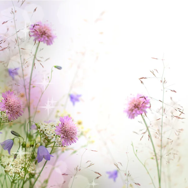 Красивая пастельная цветочная граница красивый стертый фон (sha — стоковое фото