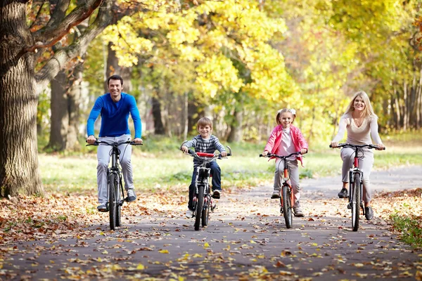 Семья на велосипедах — стоковое фото