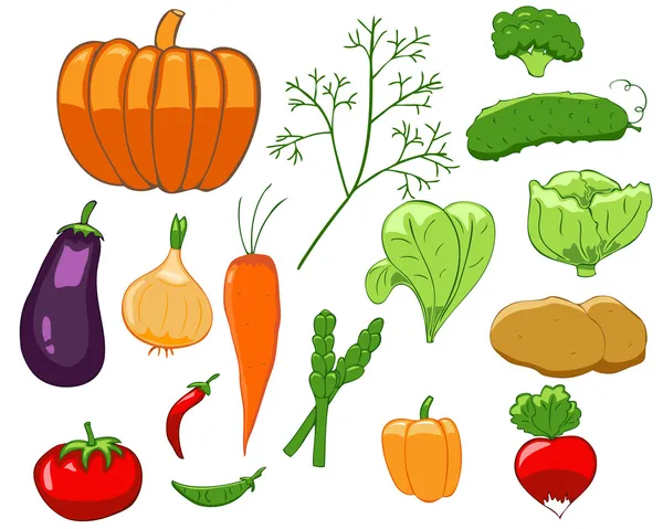 Набор красочных овощей — стоковый вектор