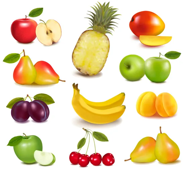 Большая группа различных фруктов. вектор — стоковый вектор