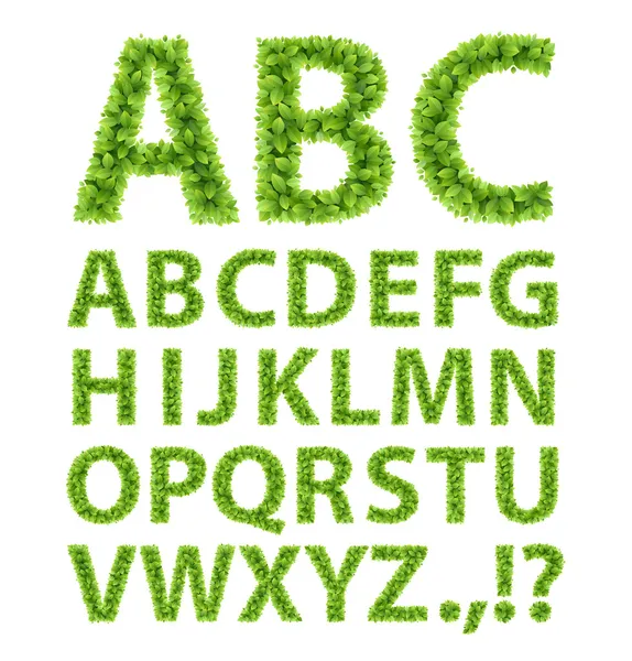 Зеленый шрифт листьев — стоковый вектор