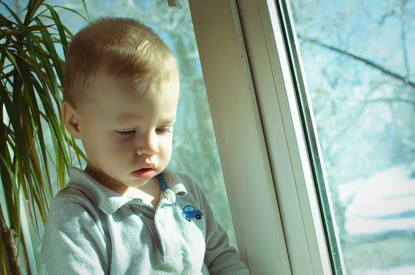 Ребенка на окно — стоковое фото