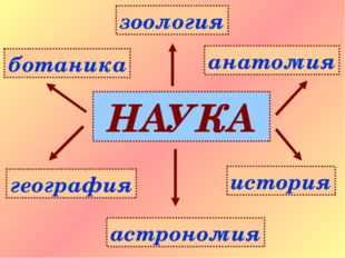 Презентация о науке для детей