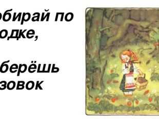 Рисунок к рассказу собирай по ягодке наберешь кузовок рисунок